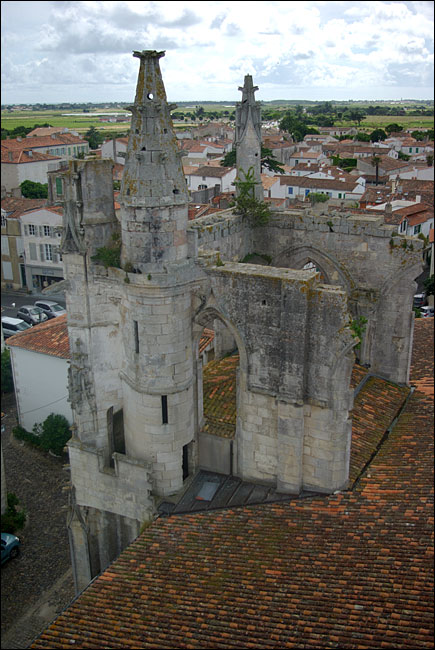 17-Paysage de l'ile de Ré.